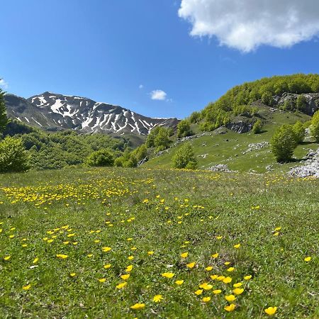 Guesthouse Alpini Lepushe Exterior photo