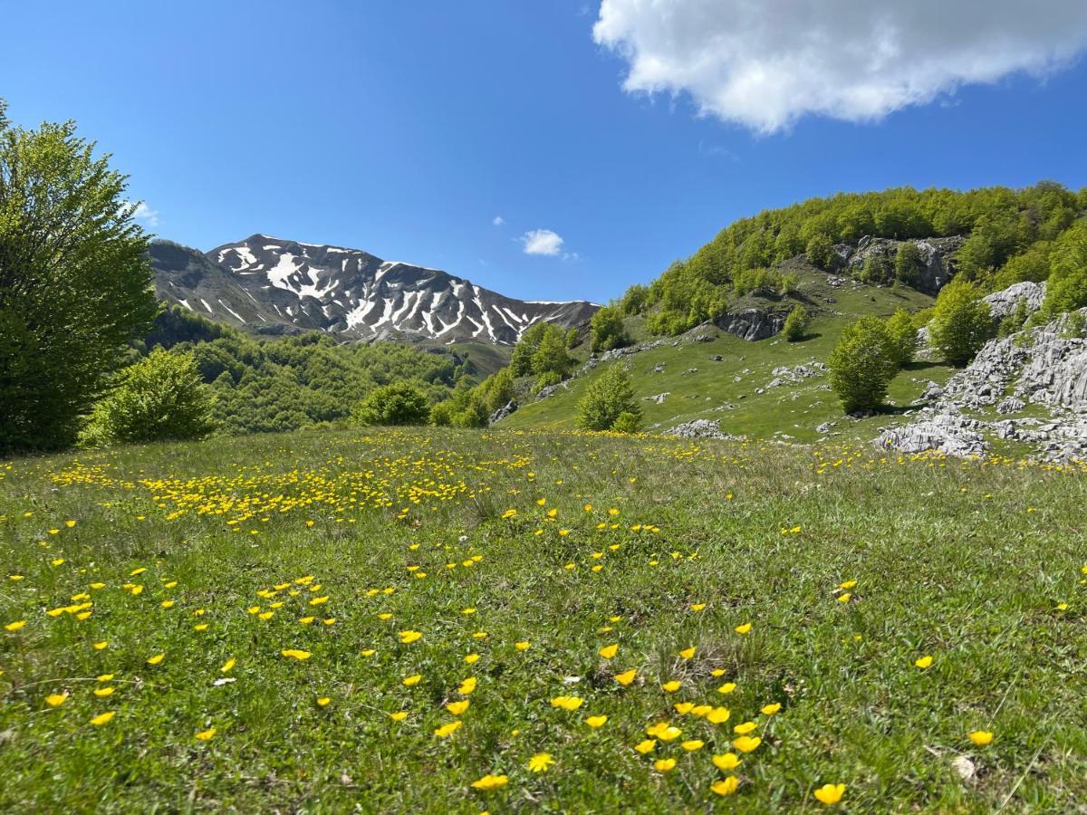 Guesthouse Alpini Lepushe Exterior photo